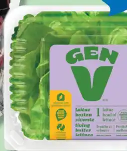 IGA GEN V GREENHOUSE LIVING BUTTER LETTUCE offer