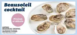 IGA BEAUSOLEIL OYSTERS offer