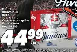 IGA BUDWEISER BEER offer