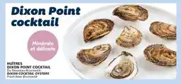 IGA DIXON COCKTAIL OYSTERS offer