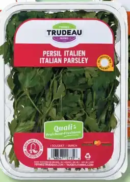 IGA FERMES TRUDEAU FRESH CILANTRO, BASIL, ITALIAN OR CURLY PARSLEY, MINT OR DILL offer