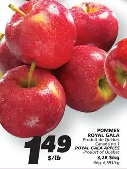 IGA ROYAL GALA APPLES offer