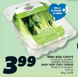 IGA FERMES TRUDEAU BABY BOK CHOY JUNIOR offer