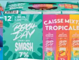 IGA BEACH DAY EVERY DAY ALCOHOLIC MALT BEVERAGE offer