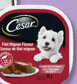 IGA CESAR DOG FOOD offer