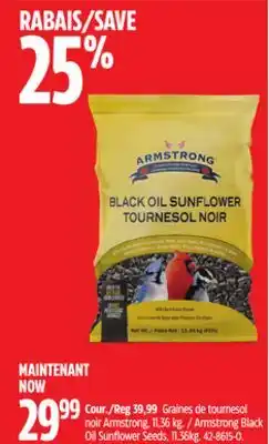 Canadian Tire Armstrong Black Oil Sunflower Seeds offer