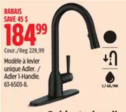 Canadian Tire Moen Adler 1-Handle offer