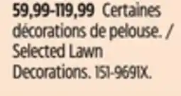 Canadian Tire Selected Lawn Decorations offer