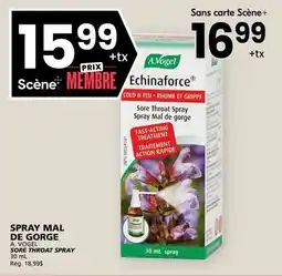 Rachelle-Bery Grocery A. VOGEL SORE THROAT SPRAY offer