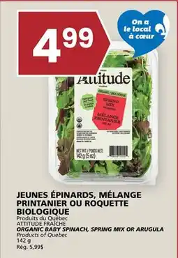Rachelle-Bery Grocery ATTITUDE FRAÎCHE ORGANIC BABY SPINACH, SPRING MIX OR ARUGULA offer