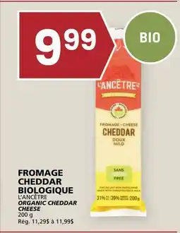 Rachelle-Bery Grocery L'ANCÊTRE ORGANIC CHEDDAR CHEESE offer