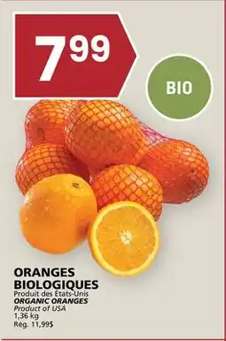 Rachelle-Bery Grocery ORGANIC ORANGES offer