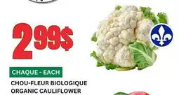 Marches Tau CHOU-FLEUR BIOLOGIQUE offer