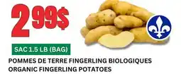 Marches Tau POMMES DE TERRE FINGERLING BIOLOGIQUES offer