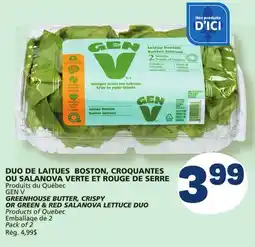 Marché Bonichoix GEN V GREENHOUSE BUTTER, CRISPY OR GREEN & RED SALANOVA LETTUCE DUO offer