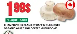 Marches Tau CHAMPIGNONS BLANC ET CAFÉ BIOLOGIQUES offer