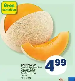 Marché Bonichoix CANTALOUPE offer