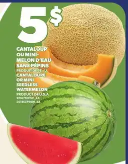 Provigo CANTALOUP OU MINI- MELON D'EAU SANS PÉPINS | CANTALOUPE OR MINI SEEDLESS WATERMELON offer