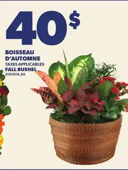 Provigo BOISSEAU D'AUTOMNE | FALL BUSHEL offer