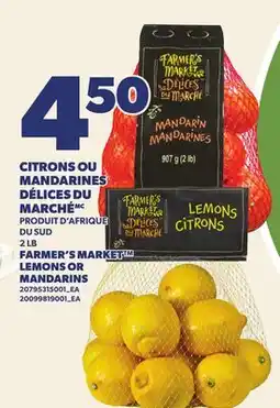 Provigo CITRONS OU MANDARINES DÉLICES DU MARCHÉ | FARMER'S MARKET LEMONS OR MANDARINS, 2 LB offer
