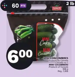 Marches Tradition MINI CUCUMBERS offer
