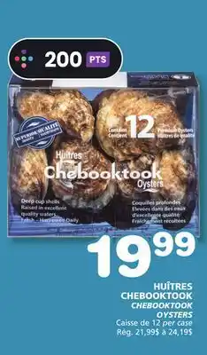 Marches Tradition CHEBOOKTOOK OYSTERS offer