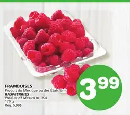 Marches Tradition RASPBERRIES offer