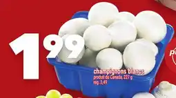 Marche Ami champignons blancs offer
