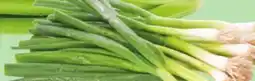 Giant Tiger green onions offer
