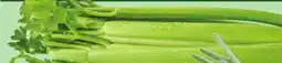 Giant Tiger Celery offer