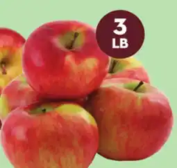 Giant Tiger Pommes McIntosh ou Cortland en 3 lb offer