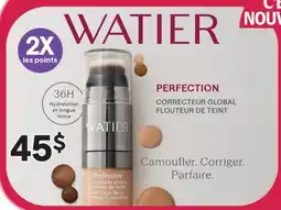 Brunet WATIER Perfection Correcteur Global Flouteur de Teint offer