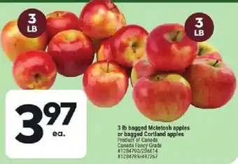 McIntosh apples