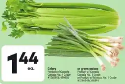 Giant Tiger Celery or green onions offer