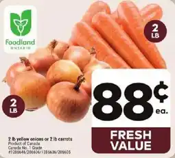 Giant Tiger Foodland yellow onions offer