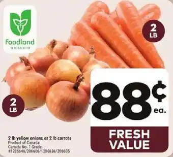 Foodland yellow onions