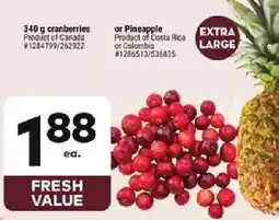 Giant Tiger Cranberries or Pineapple offer