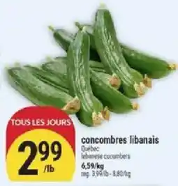 Marché Adonis concombres libanais offer