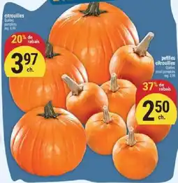 Marché Adonis citrouilles offer