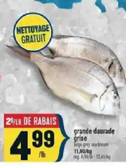 Marché Adonis grande daurade grise offer