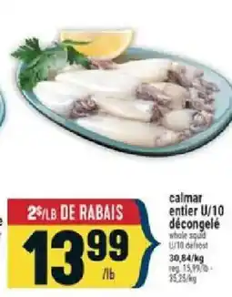 Marché Adonis calmar entier offer