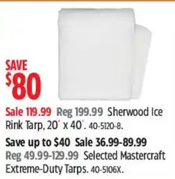 Canadian Tire Sherwood Ice Rink Tarp offer