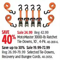 Canadian Tire Motomaster 3000-lb ratchet tie-downs offer
