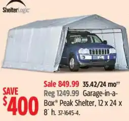 Canadian Tire ShelterLogic Garage-in-a-Box Peak Shelter offer
