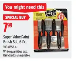 Canadian Tire Super Value Paint Brush Set offer