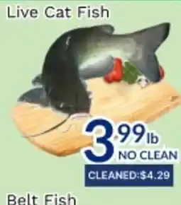 Oceans Fresh Food Market Live Cat Fish offer