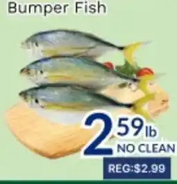 Oceans Fresh Food Market Bumper Fish offer