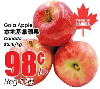 Gala Apple