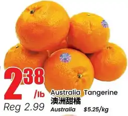 Btrust Supermarket Australia Tangerine offer