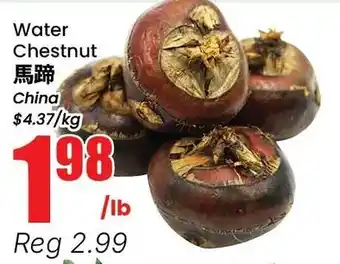 Water Chestnut